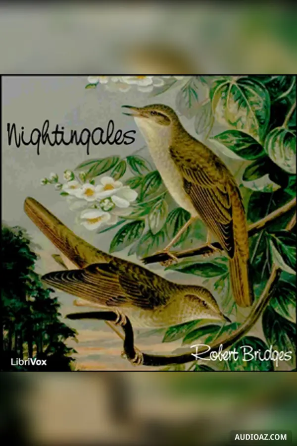 Nightingales