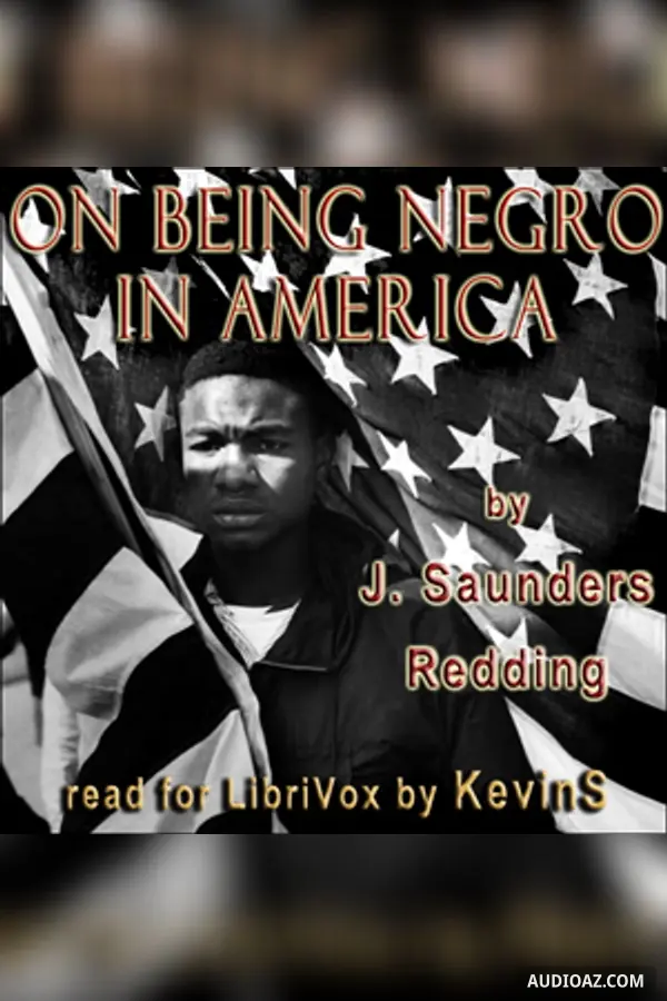 On Being Negro in America
