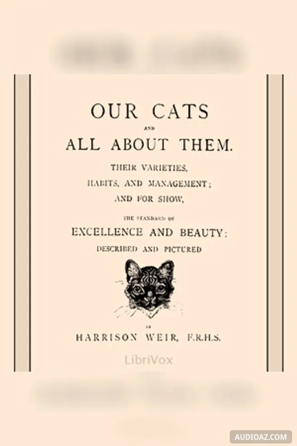 Our Cats and All About Them