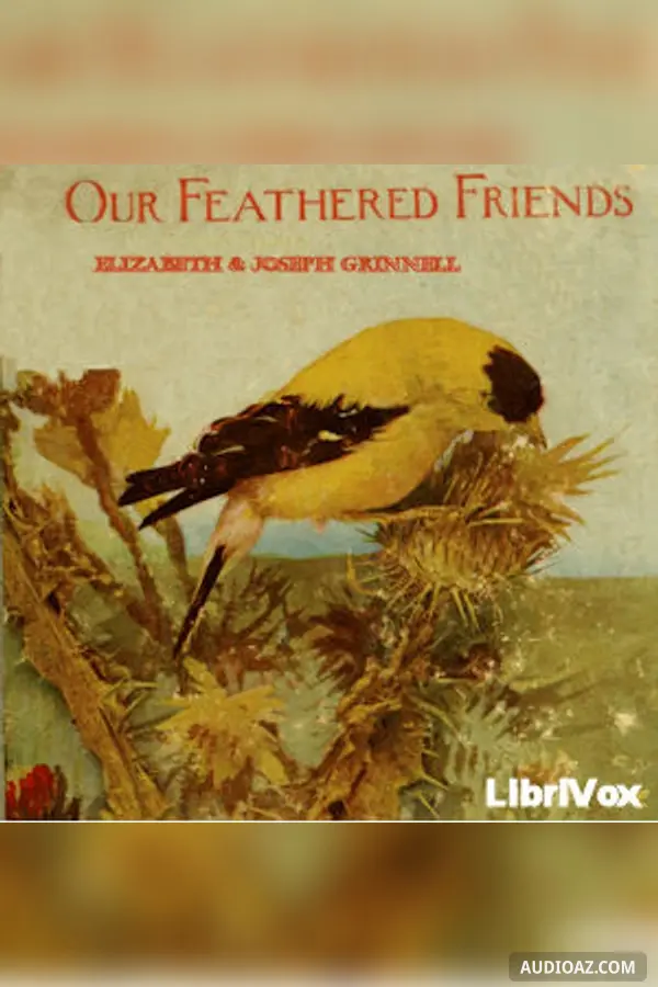 Our Feathered Friends