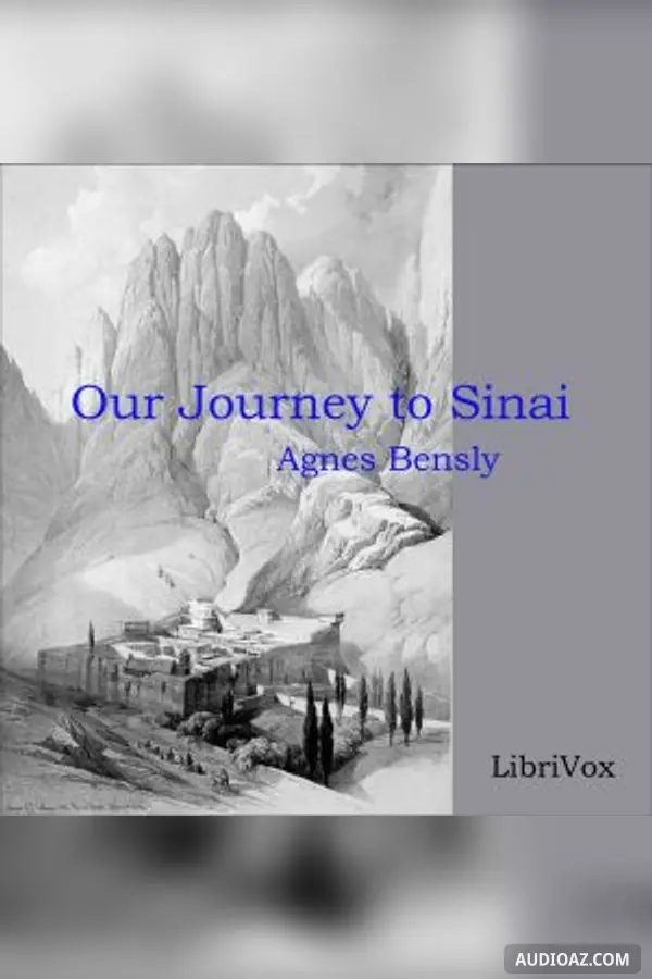 Our Journey to Sinai