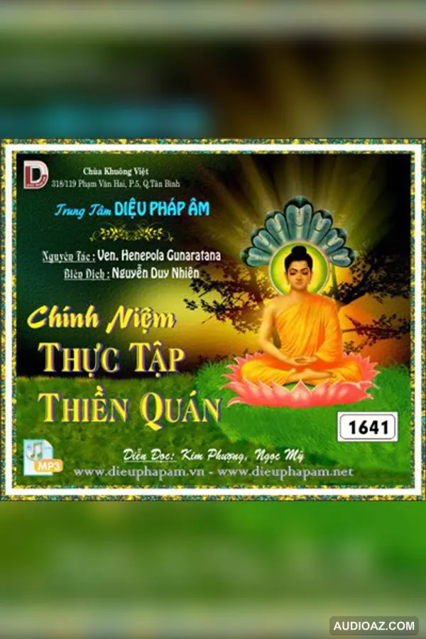 Chánh Niệm Thực tập Thiền Quán - Ven Henepola Gunaratana - Loại Khác - Audio Phật Pháp
