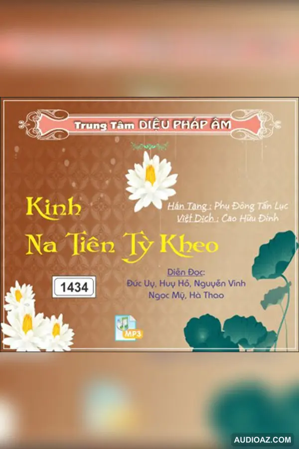 Kinh Na Tiên Tỳ Kheo 128kbps - Kinh Điển Đại Thừa - Audio Phật Pháp