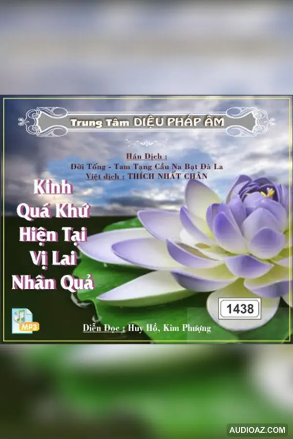 Kinh Quá Khứ Hiện Tại Nhân Quả - Kinh Điển Đại Thừa - Audio Phật Pháp