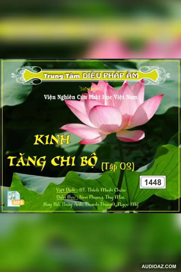 Kinh Tăng Chi Bộ tập 3 64kbps - Đại Tạng Kinh Nam Truyền 64kbps - Audio Phật Pháp