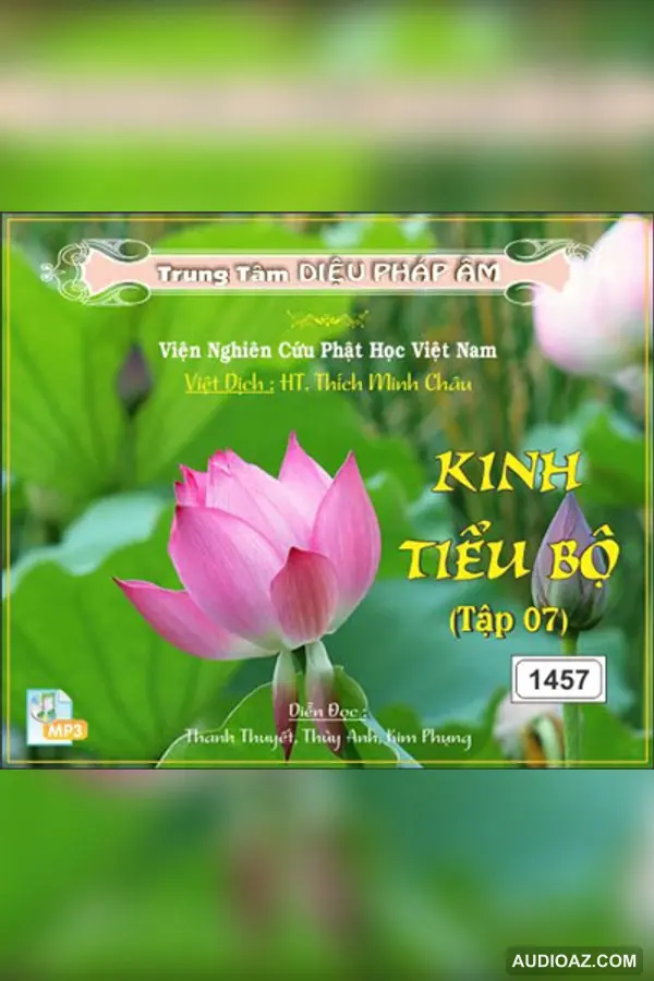 Kinh Tiểu Bộ tập 07 64kbps - Đại Tạng Kinh Nam Truyền 64kbps - Audio Phật Pháp