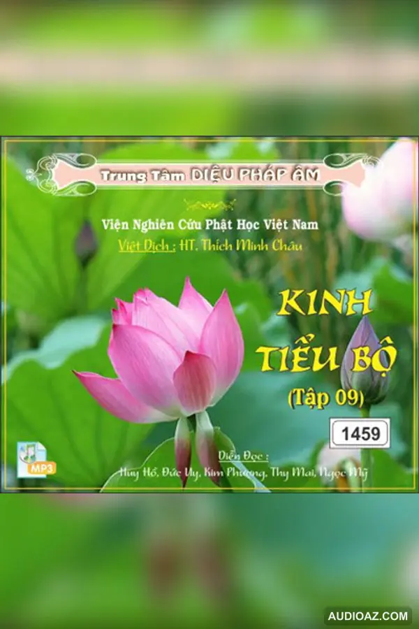 Kinh Tiểu Bộ tập 09 64kbps - Đại Tạng Kinh Nam Truyền 64kbps - Audio Phật Pháp