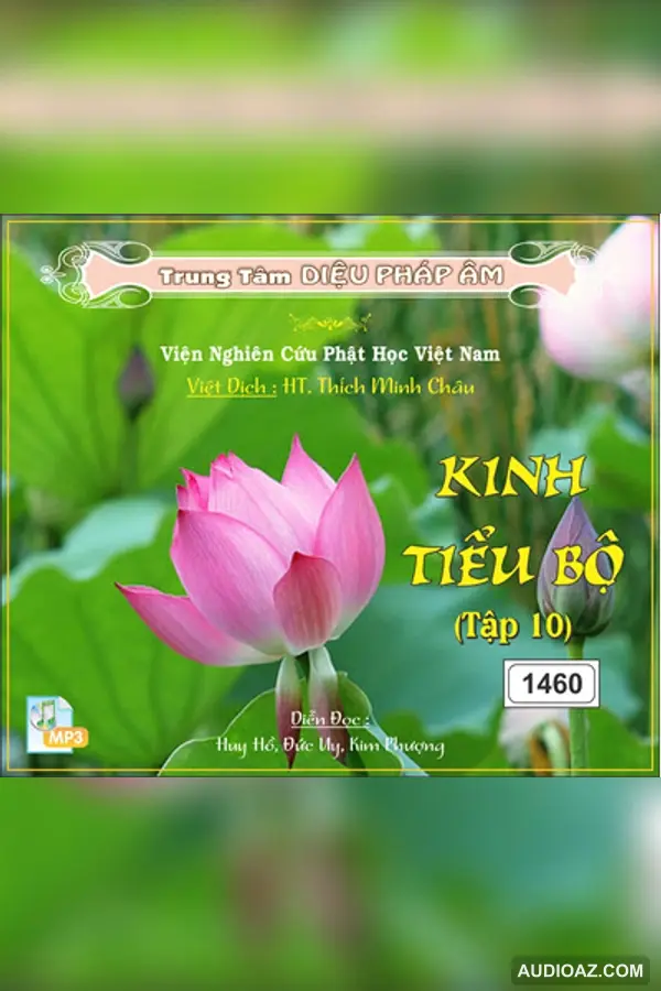 Kinh Tiểu Bộ tập 10 64kbps - Đại Tạng Kinh Nam Truyền 64kbps - Audio Phật Pháp