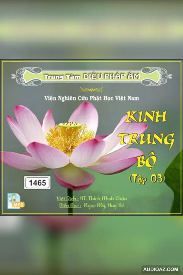 Kinh Trung Bộ tập 3 64kbps - Đại Tạng Kinh Nam Truyền 64kbps - Audio Phật Pháp