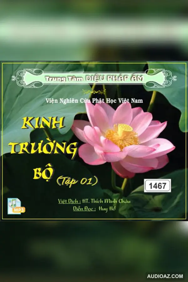 Kinh Trường Bộ tập 1 64kbps - Đại Tạng Kinh Nam Truyền 64kbps - Audio Phật Pháp