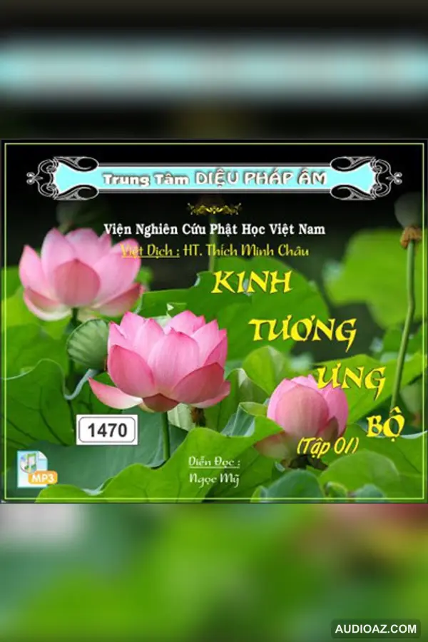 Kinh Tương Ưng Bộ tập 1 64kbps - Đại Tạng Kinh Nam Truyền 64kbps - Audio Phật Pháp