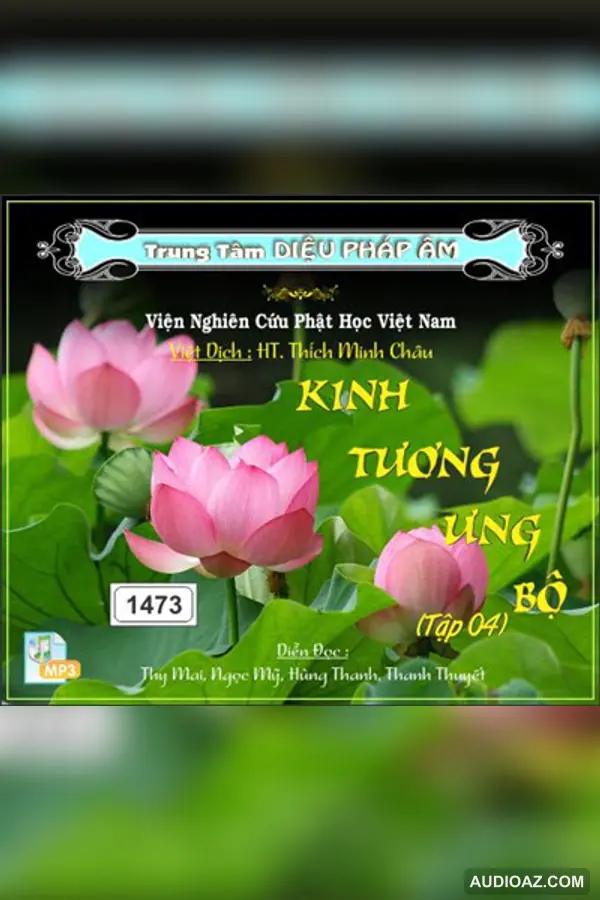 Kinh Tương Ưng Bộ tập 4 64kbps - Đại Tạng Kinh Nam Truyền 64kbps - Audio Phật Pháp