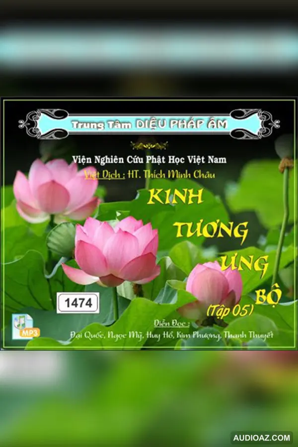 Kinh Tương Ưng Bộ tập 5 64kbps - Đại Tạng Kinh Nam Truyền 64kbps - Audio Phật Pháp