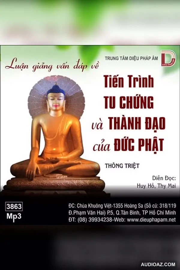 Luận Giảng Vấn Đáp Về Tiến Trình Tu Chứng Và Thành Đạo Của Đức Phật - Thích Thông Triệt - Loại Khác - Audio Phật Pháp