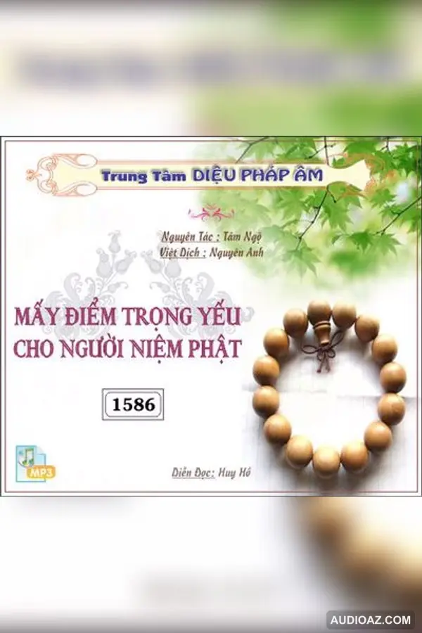 Mấy Điểm Trọng Yếu Cho Người Niệm Phật - Tâm Ngộ - Audio Phật Pháp