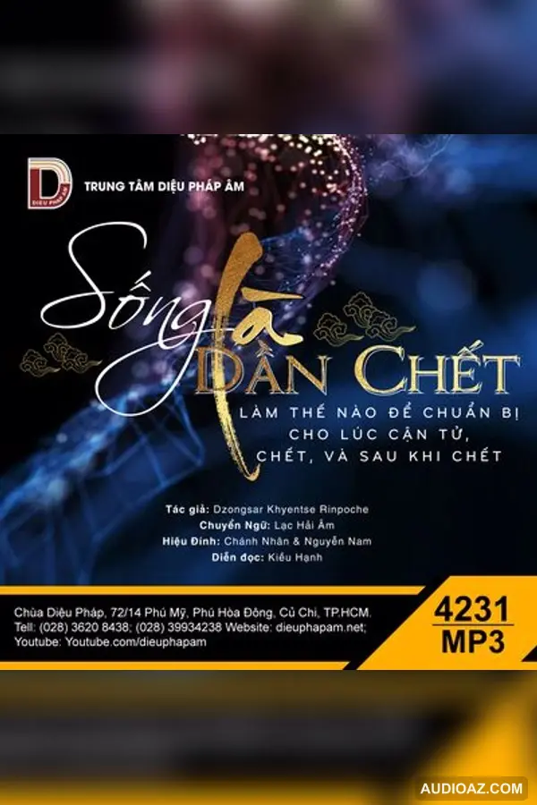Sống Là Dần Chết - Dzongsar Khyentse Rinpoche - Loại Khác - Audio Phật Pháp