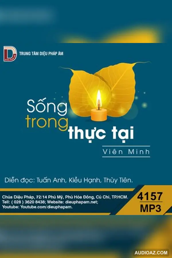 Sống Trong Thực Tại - Sư Viên Minh - Loại Khác - Audio Phật Pháp