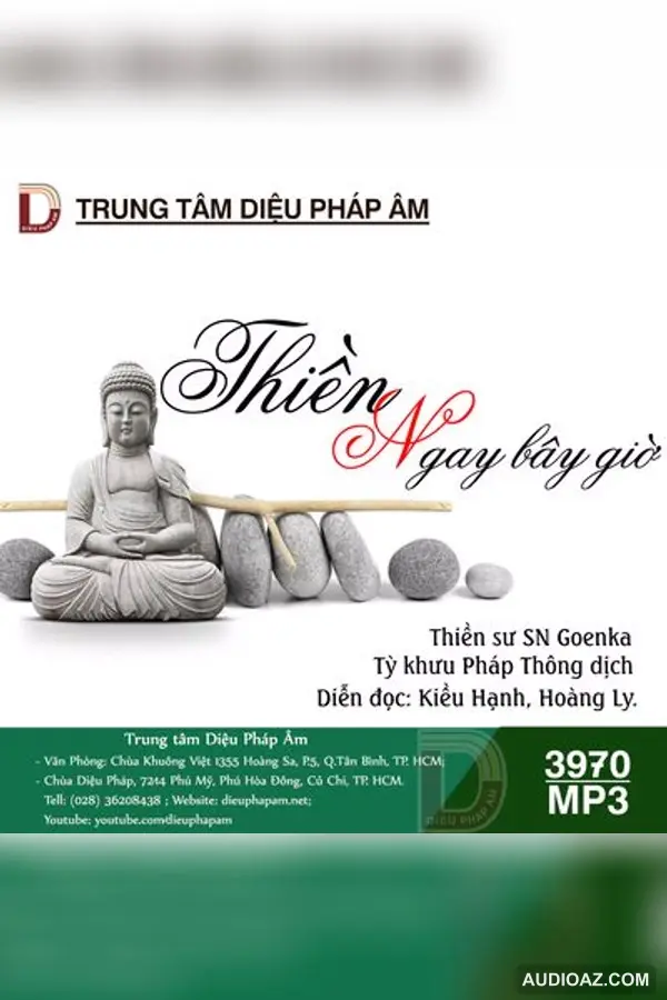 Thiền Ngay Bây Giờ - S.N Goenka - Loại Khác - Audio Phật Pháp