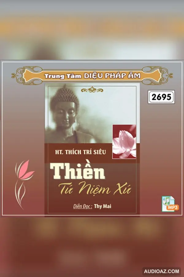 Thiền Tứ Niệm Xứ - TT Thích Trí Siêu - Audio Phật Pháp