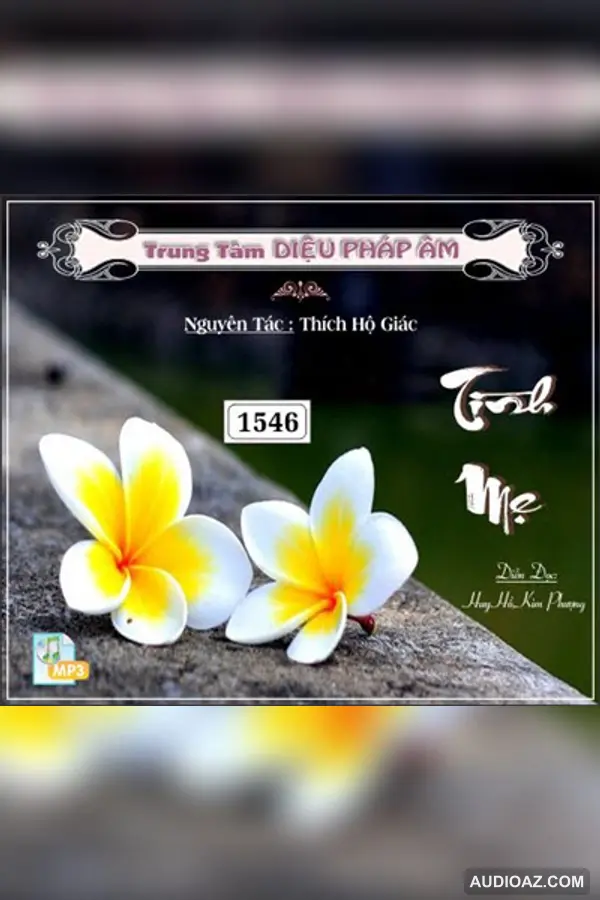 Tình Mẹ - HT Hộ Giác - Loại Khác - Audio Phật Pháp