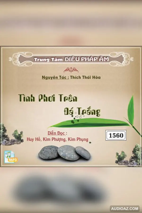 Tình Phơi Trên Đá Trắng - Thích Thái Hòa - Loại Khác - Audio Phật Pháp