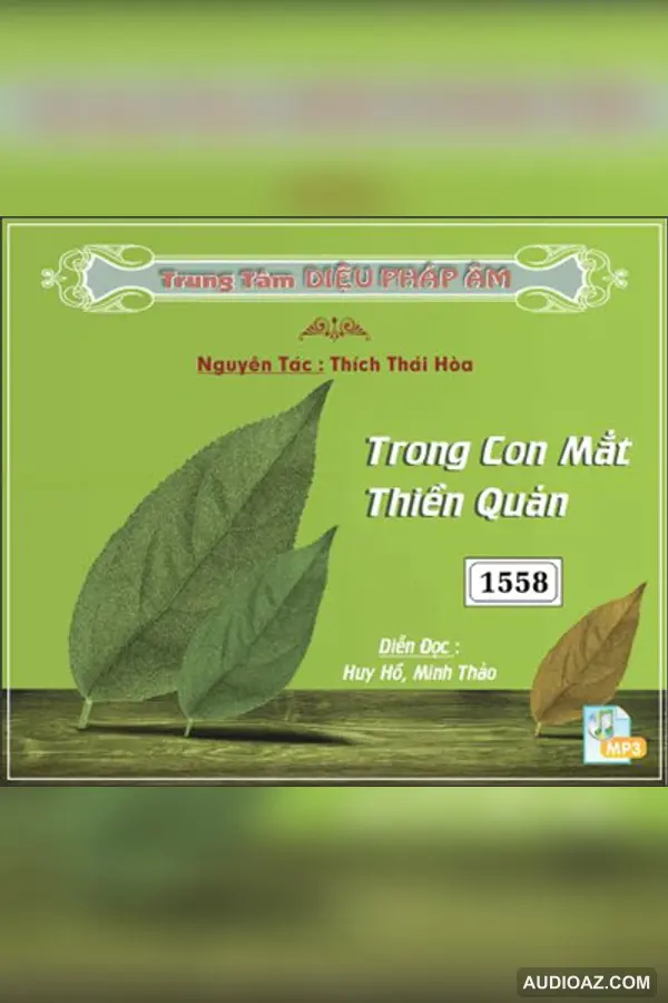 Trong Con Mắt Thiền Quán - Thích Thái Hòa - Loại Khác - Audio Phật Pháp