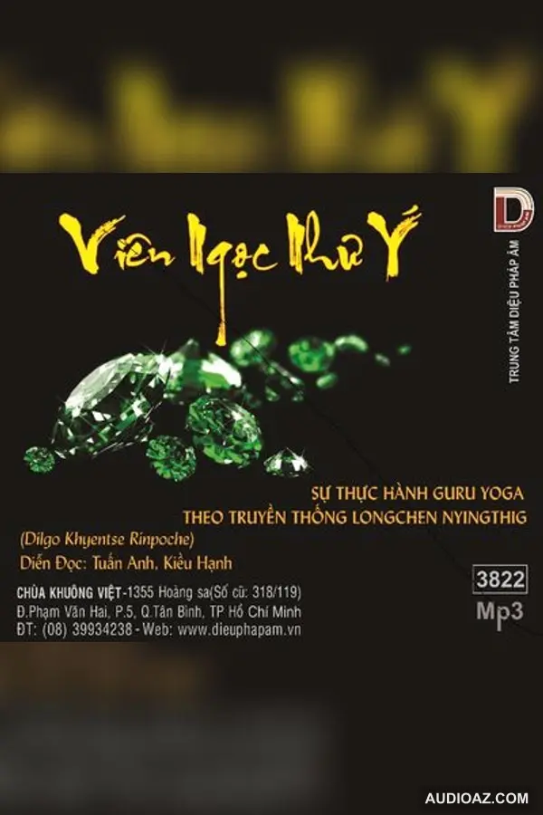 Viên Ngọc Như Ý - Dilgo Khyentse Rinpoche - Loại Khác - Audio Phật Pháp