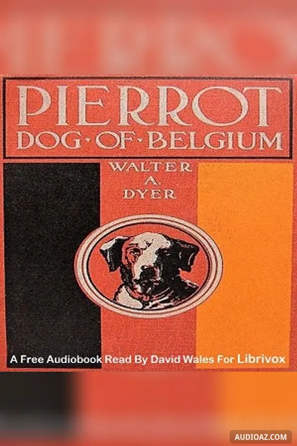 Pierrot, Dog Of Belgium