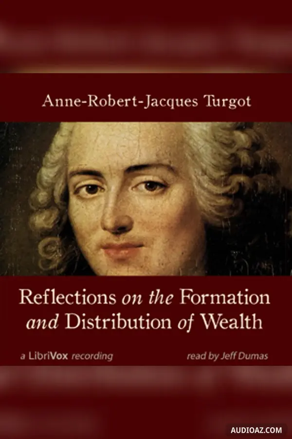 Reflections on the Formation and Distribution of Wealth