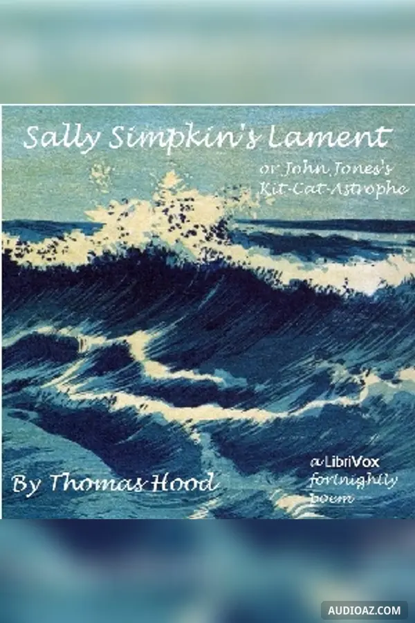 Sally Simpkin's Lament; or, John Jones's Kit-Cat-Astrophe