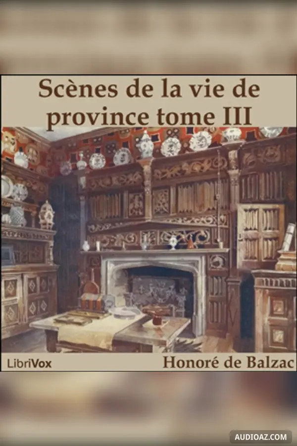 Comédie Humaine: 07 - Scènes de la vie de province tome 3 (8-9-44)