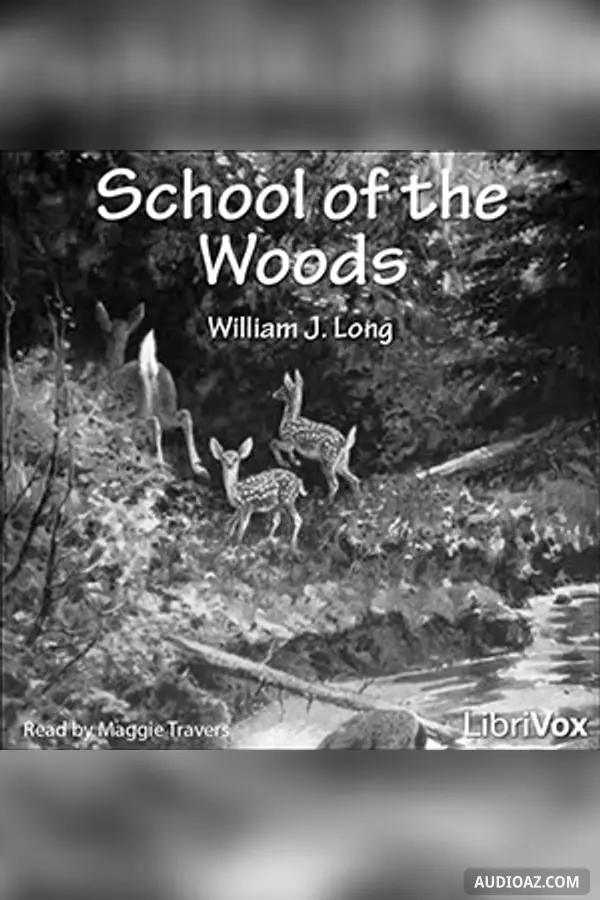 School of The Woods