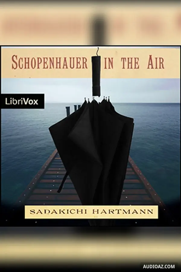Schopenhauer in the Air