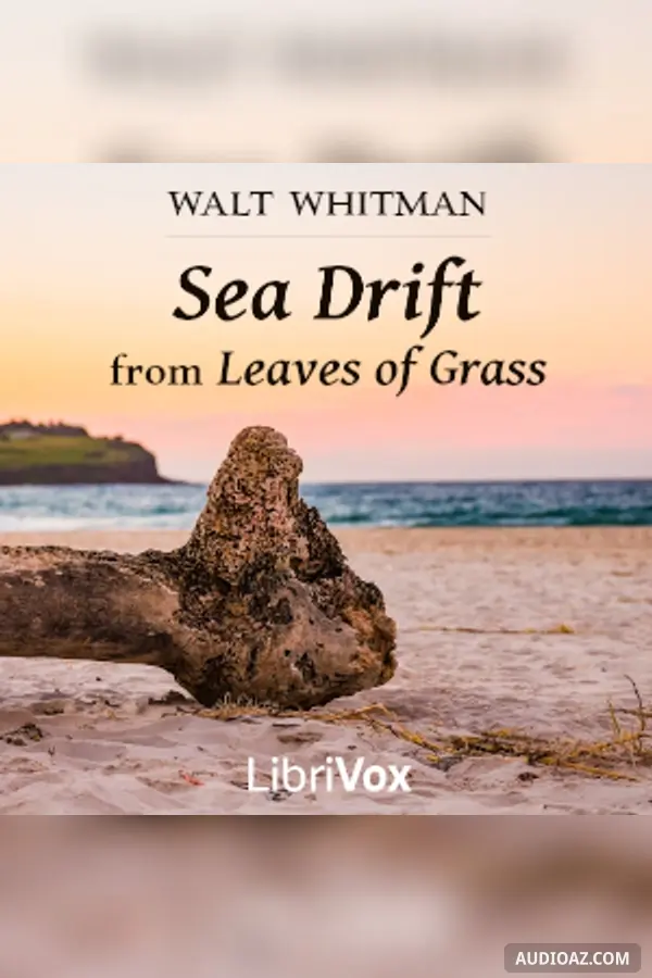 Sea Drift from Leaves of Grass