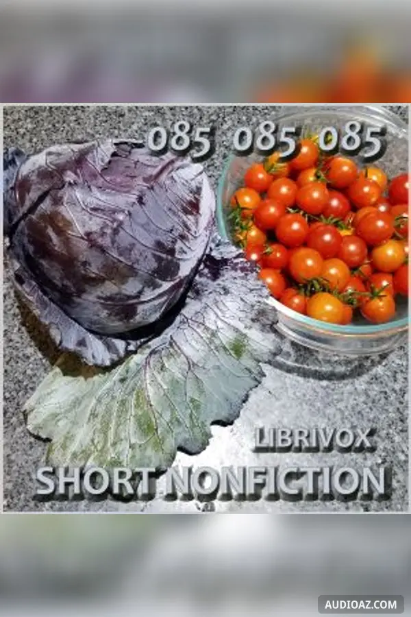 Short Nonfiction Collection, Vol. 085