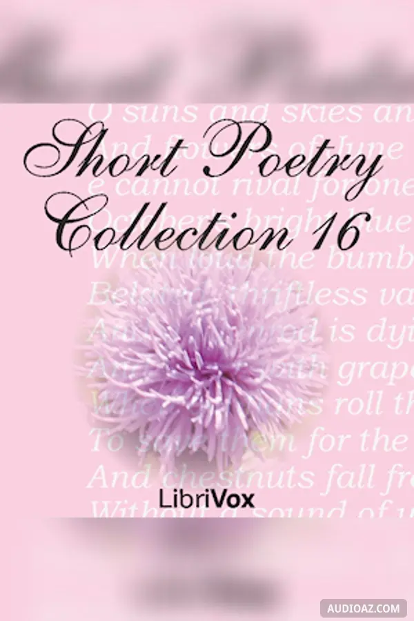Short Poetry Collection 016
