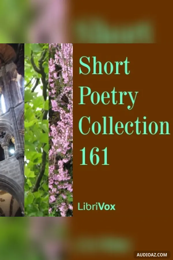 Short Poetry Collection 161