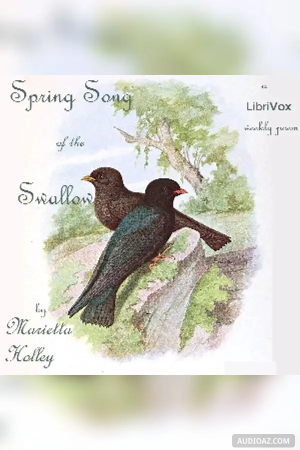 Spring Song of the Swallow