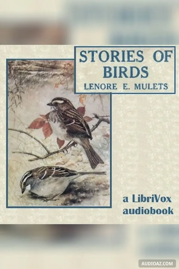 Stories of Birds
