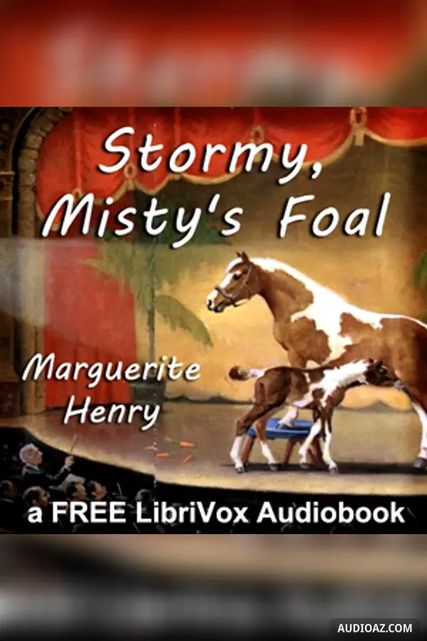 Stormy, Misty's Foal