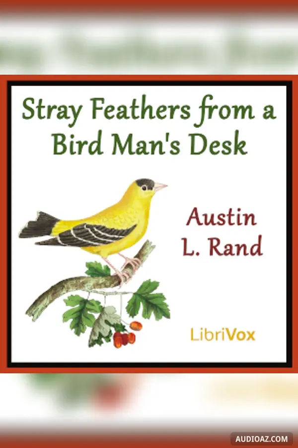 Stray Feathers From a Bird Man's Desk