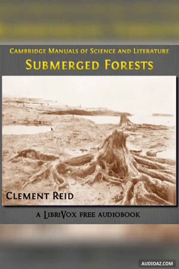 Submerged Forests