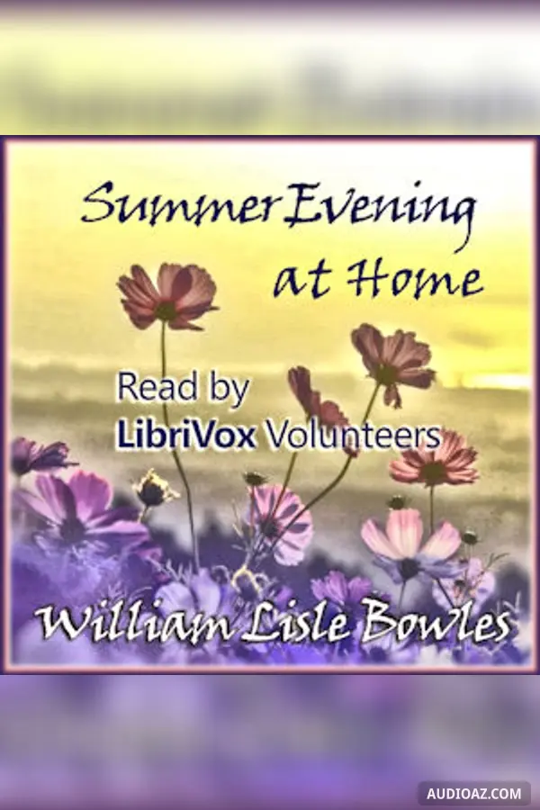 Summer Evening At Home