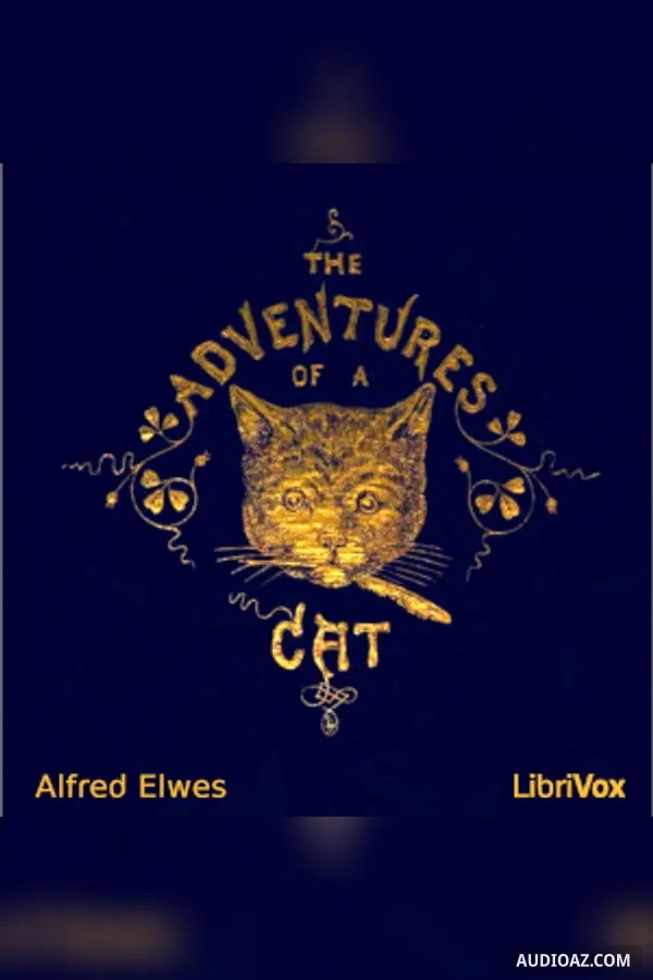 The Adventures of a Cat, and a Fine Cat Too!