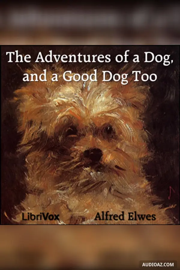 The Adventures of a Dog, and a Good Dog Too