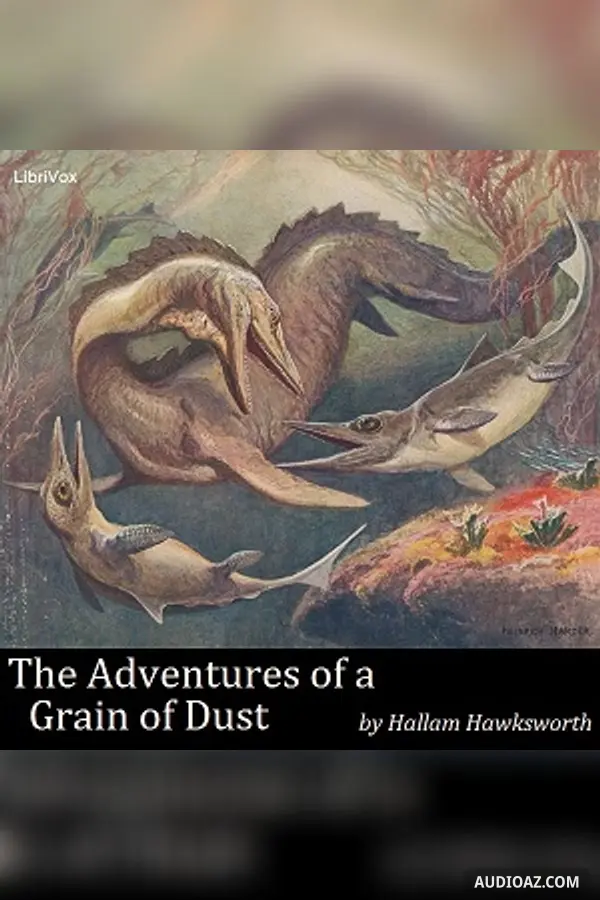 The Adventures of a Grain of Dust