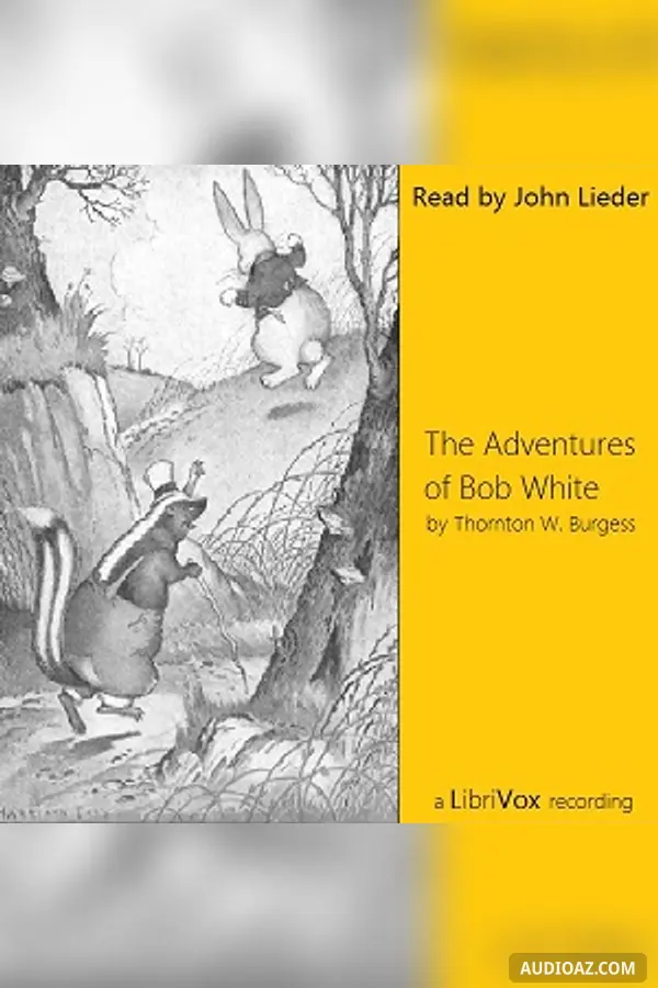 The Adventures of Bob White