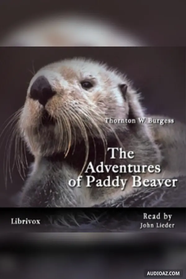 The Adventures of Paddy Beaver