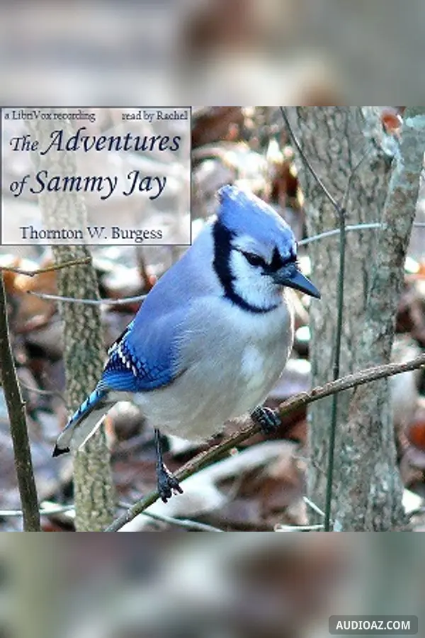 The Adventures of Sammy Jay