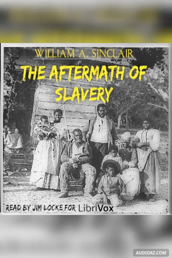 The Aftermath of Slavery